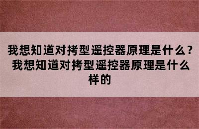 我想知道对拷型遥控器原理是什么？ 我想知道对拷型遥控器原理是什么样的